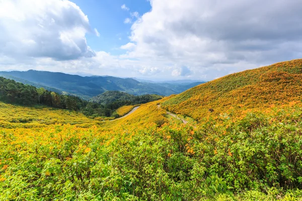 Paisagem na província de Maehongson — Fotografia de Stock