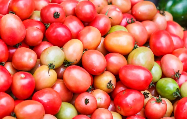 Pomodori maturi rossi — Foto Stock