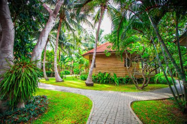 tropik tatil plaj yolu