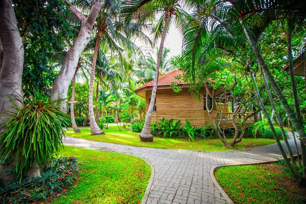 Camino a la playa en el resort tropical — Foto de Stock