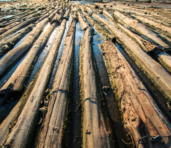 Pile of wood be immersed in water — Stock Photo, Image