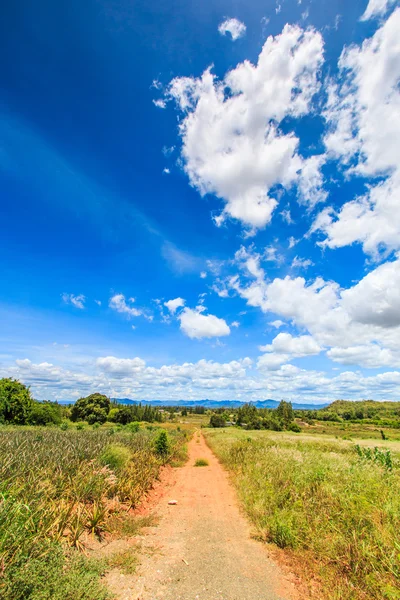 Landscape the road in rural areas — Stock Photo, Image