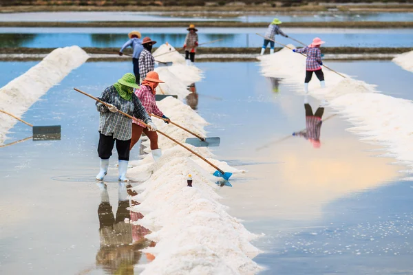 Salt fields in Thailand
