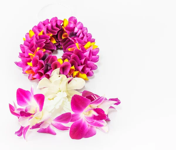 Guirnalda de flores de orquídea — Foto de Stock