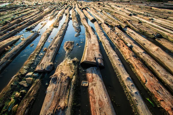 Montón de madera sumergirse en agua — Foto de Stock