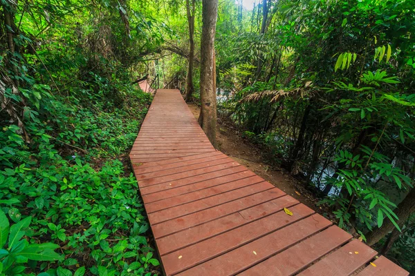 Ponte passerella in legno — Foto Stock