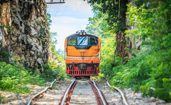 Treno sulla galleria stradale ferroviaria — Foto Stock