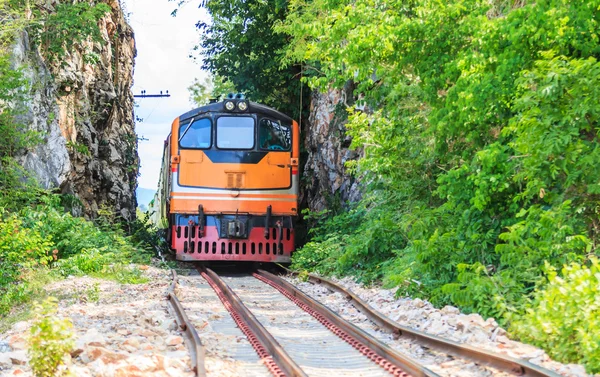 Treno sulla galleria stradale ferroviaria — Foto Stock