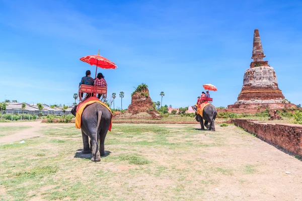 Tourists riding elephants — Stock Photo, Image