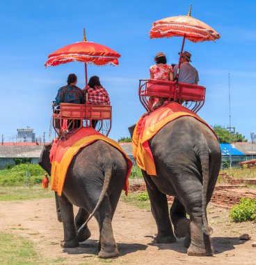 Tourists riding elephants clipart