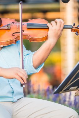 Sanatçı oyun keman