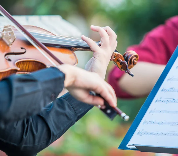 Artists Playing violins — Stock Photo © Deerphoto 80566514