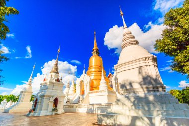 WAT Suan Dok Tapınağı