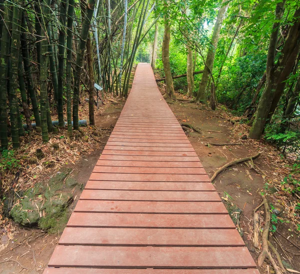 Διάβαση πεζών Γέφυρα στο δάσος — Φωτογραφία Αρχείου