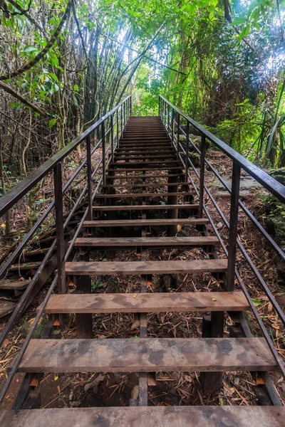Puente pasarela en el bosque — Foto de Stock