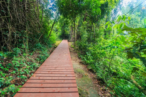 Gångväg bridge i skogen — Stockfoto