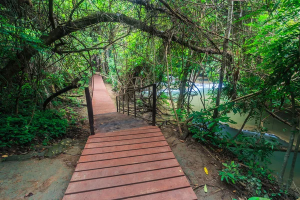 Pont de passerelle dans la forêt — Photo