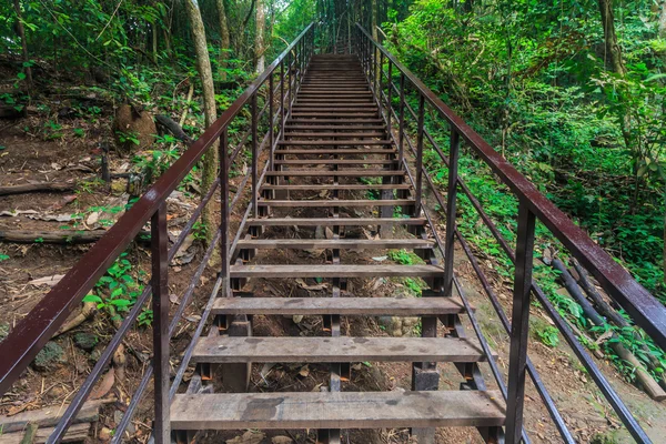 Chodnik most w lesie — Zdjęcie stockowe
