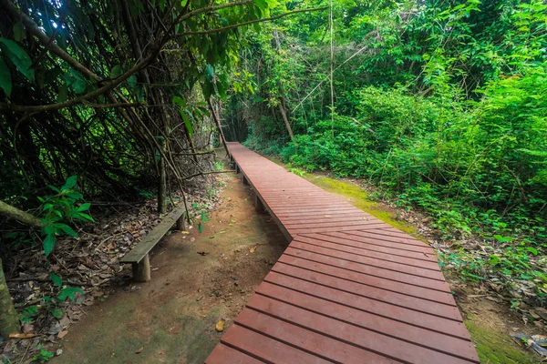 Walkway bridge in forest Stock Photo