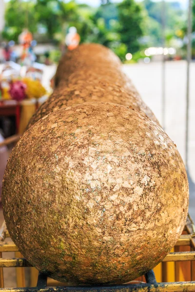 Gouden glanzende bladeren — Stockfoto