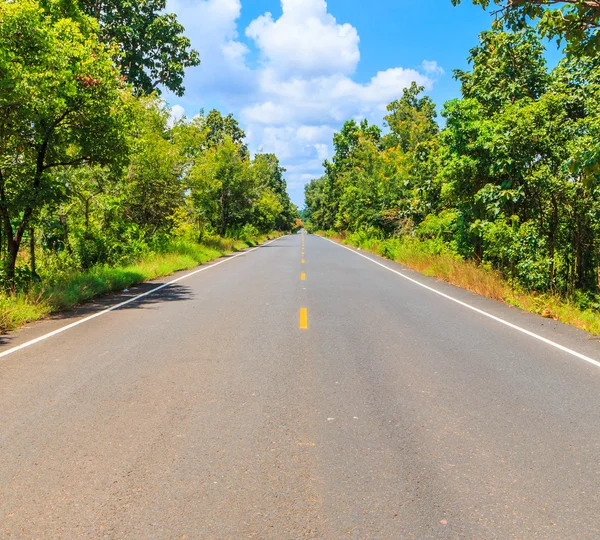 Road and tunnel of trees — Stock Photo, Image