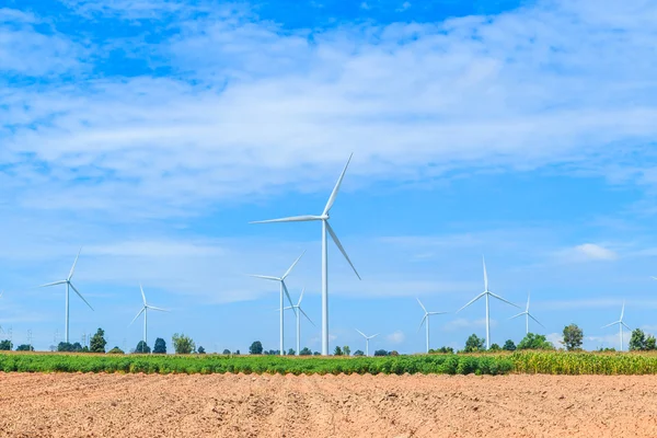 Wind turbines in field — Stock Photo, Image
