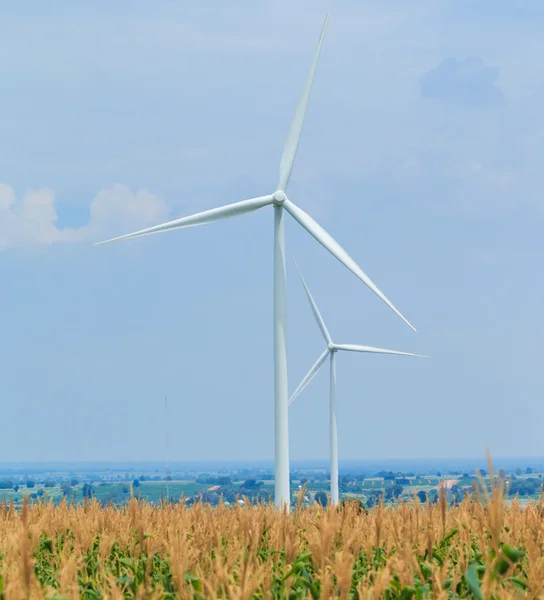 Vindkraftverk i fält — Stockfoto