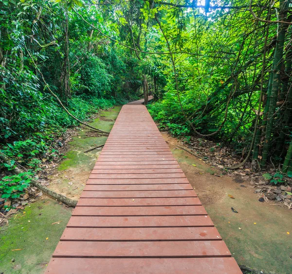 Walkway bridge in forest — Stock Photo, Image