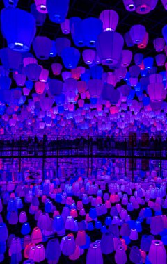 Çeşitli festivallerde dekore edilmiş renkli fenerler