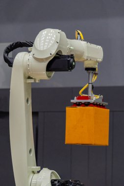 Robotic arm for lifting goods, automatic storage, automated ware
