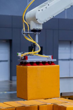 Robotic arm for lifting goods, automatic storage, automated ware