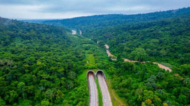 Orman boyunca araçlar için tünel inşa edildi. Orman alanlarını birbirine bağlamak için. Vahşi yaşamın ileri geri geçmesine izin vermek için..
