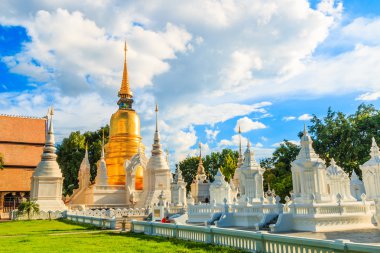 Tapınak Wat Suan Dok
