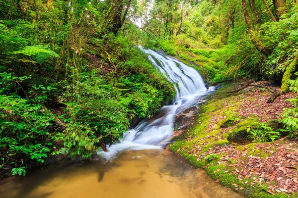 Waterfall at Doi Inthanon National park — Stock Photo, Image