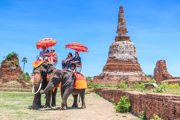 Tourists on an elephant ride tour — Stock Photo, Image