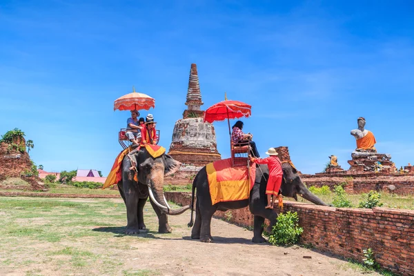 観光客は象に乗るツアー — ストック写真