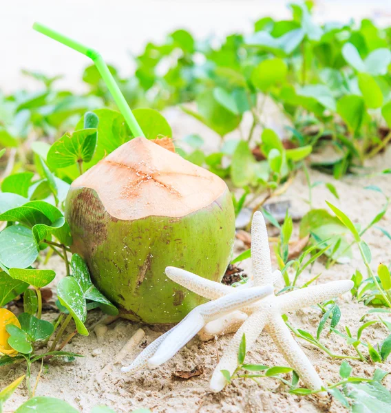 Noix de coco avec étoile de mer en Thaïlande — Photo