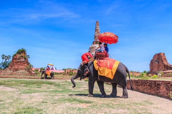 Turystów na słonia jeździć na wycieczki — Zdjęcie stockowe