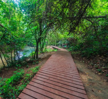 ahşap geçit köprüsü