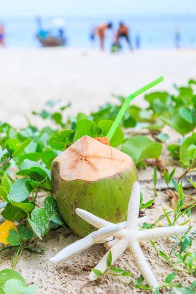 Boisson à la noix de coco avec étoile de mer — Photo