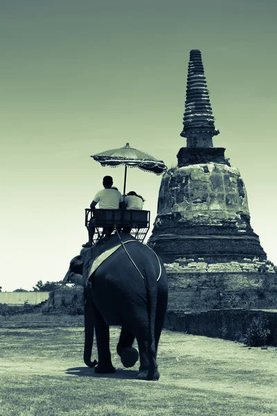 Turisti in giro per un elefante — Foto Stock