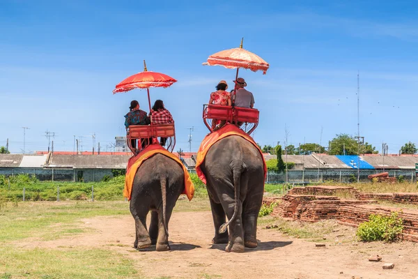 Turister på en elefant rida tour — Stockfoto