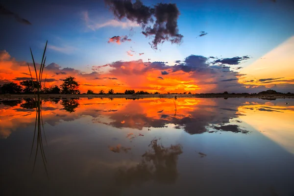 Zachód słońca, Błękitne niebo i chmury — Zdjęcie stockowe