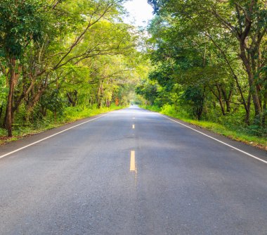 ağaçlar üzerinde boş yol
