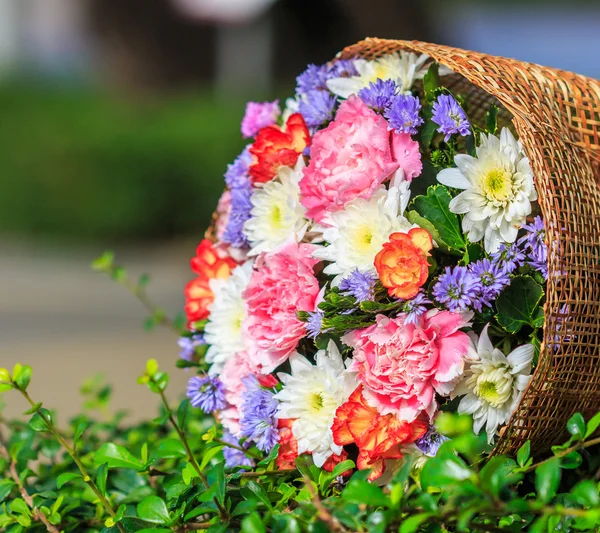 Summer flowers bouquet — Stock Photo, Image