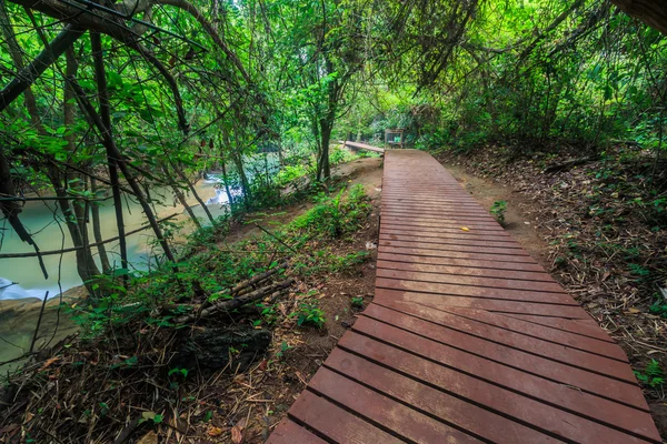 Wooden Walkway bridge — Stock Photo, Image