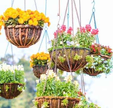 beautiful baskets of flowers clipart