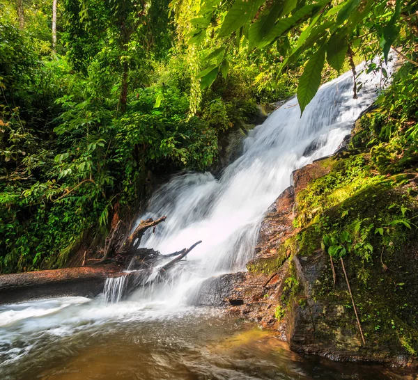 Waterfall at Doi Inthanon — Stock Photo, Image