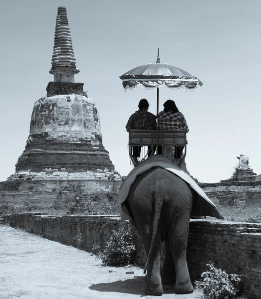 Touristen auf Elefantenritt-Tour — Stockfoto