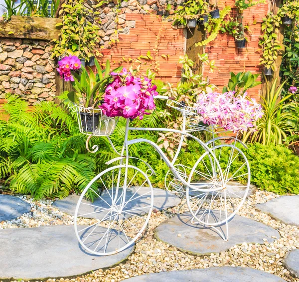 Decor  Flowers on bicycle — Stock Photo, Image